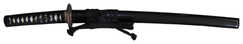 вакидзаси Минамото