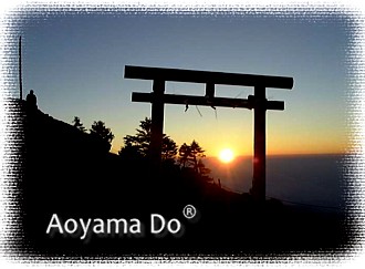 ворота японского храма